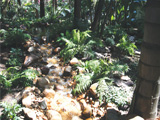 Garden Water Features