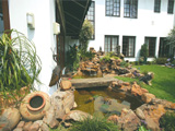 Garden Water Features