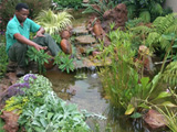 Garden Water Features